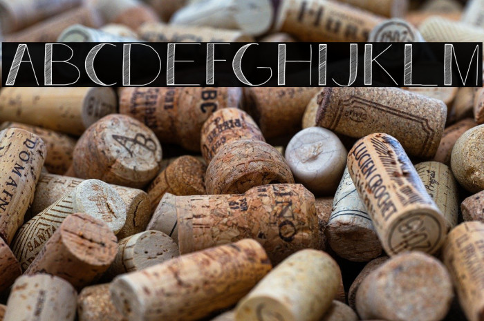 Analeigh Demo Example 3