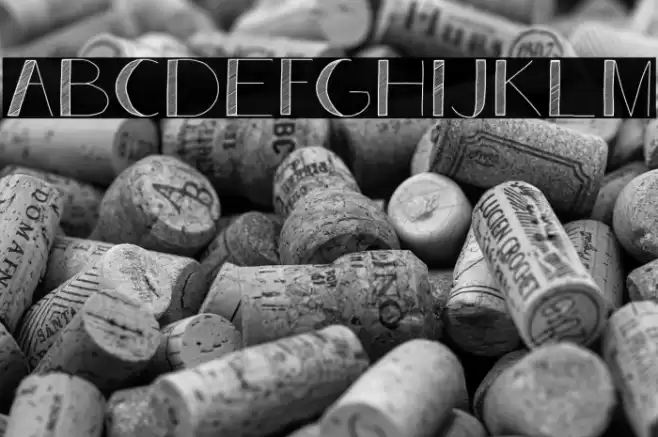 Analeigh Demo Font examples