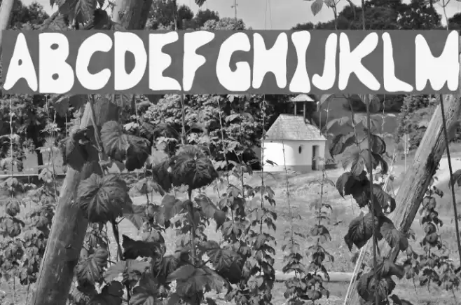 Analgesics Font examples