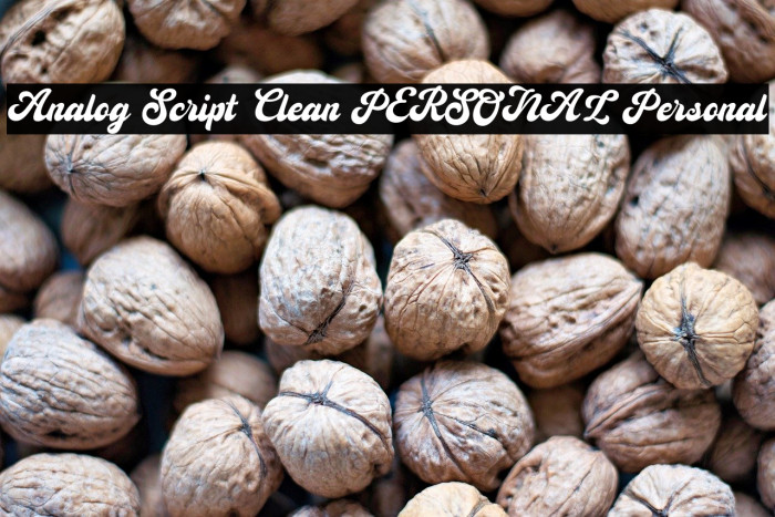 Analog Script Clean PERSONAL Personal Example 1