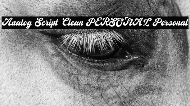 Analog Script Clean PERSONAL Personal Caratteri examples
