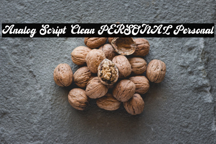 Analog Script Clean PERSONAL Personal Example 3