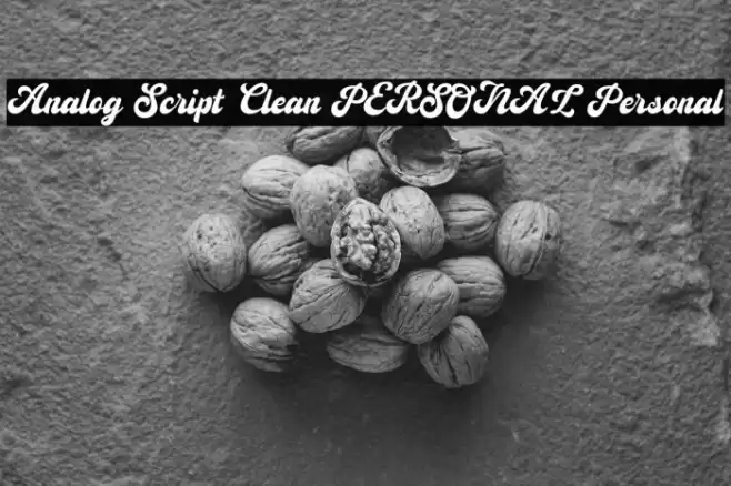 Analog Script Clean PERSONAL Personal Caratteri examples