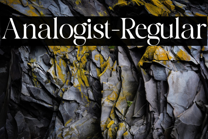 Analogist-Regular Example 1