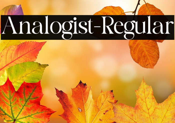 Analogist-Regular Example 2