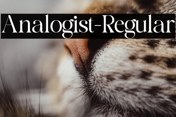 Analogist-Regular Example 3