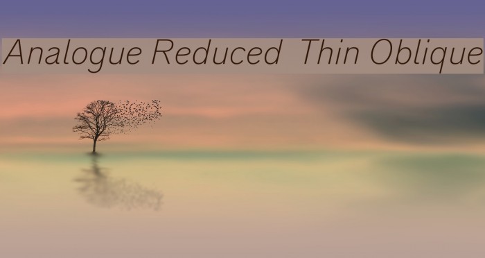 Analogue Reduced 36 Thin Oblique Font examples