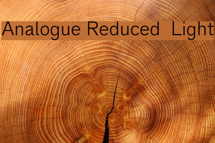 Analogue Reduced 45 Light Font examples