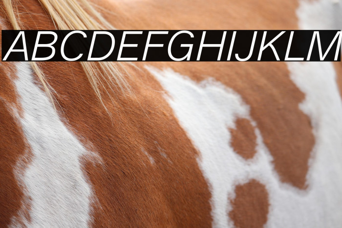 Analogue Reduced 46 Light Oblique Example 3