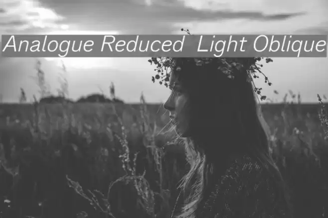 Analogue Reduced 46 Light Oblique Font examples