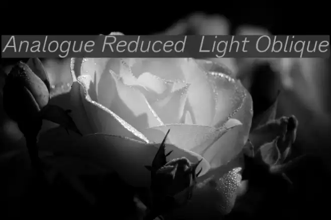 Analogue Reduced 46 Light Oblique Font examples