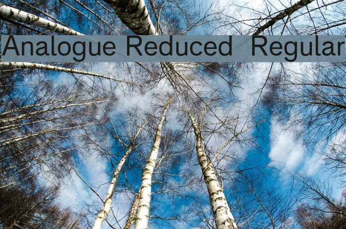 Analogue Reduced 55 Regular Font examples