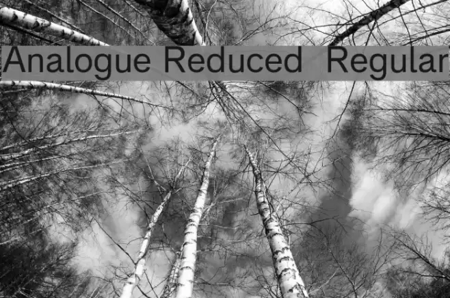 Analogue Reduced 55 Regular Font examples