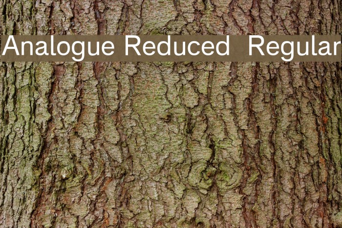 Analogue Reduced 55 Regular Font examples