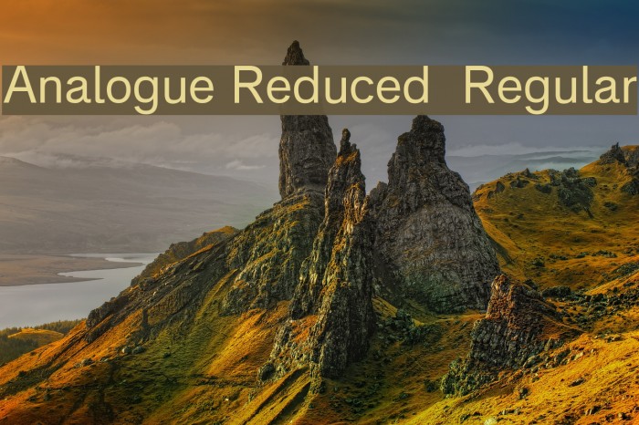 Analogue Reduced 55 Regular Font examples