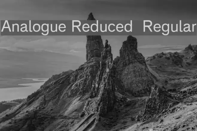 Analogue Reduced 55 Regular Font examples