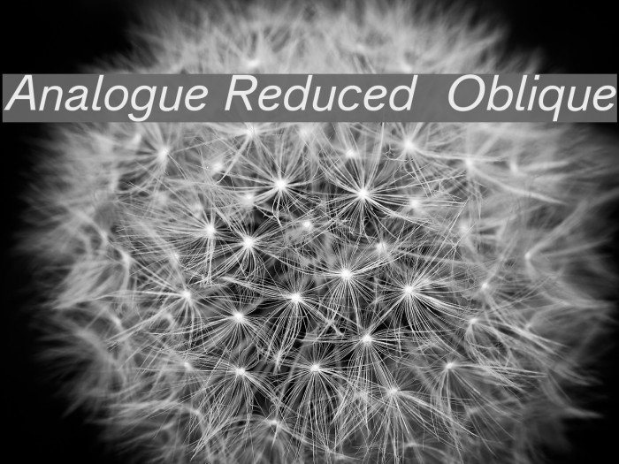 Analogue Reduced 56 Oblique Font examples