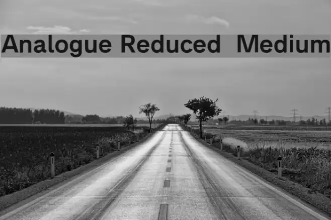Analogue Reduced 65 Medium Font examples