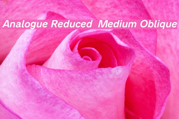 Analogue Reduced 66 Medium Oblique Example 1