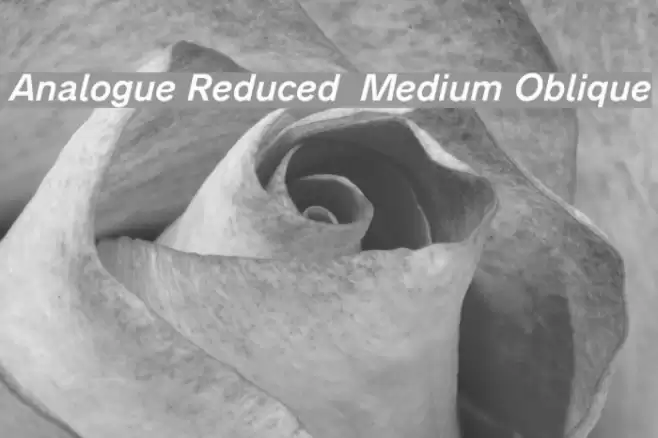 Analogue Reduced 66 Medium Oblique Font examples