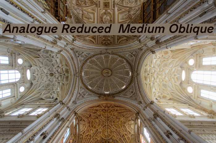 Analogue Reduced 66 Medium Oblique Example 2