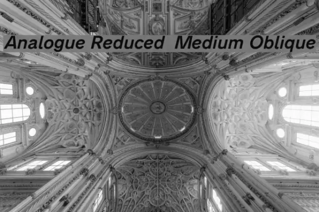 Analogue Reduced 66 Medium Oblique Font examples