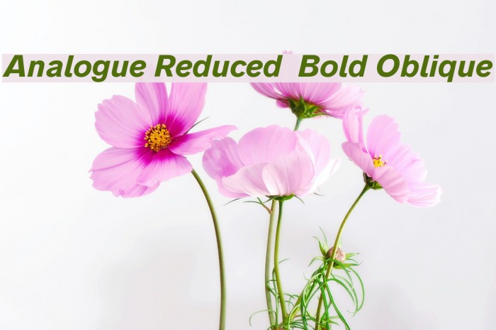 Analogue Reduced 76 Bold Oblique Font examples