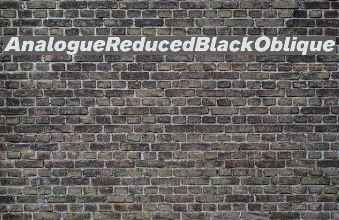 AnalogueReduced-BlackOblique Font examples