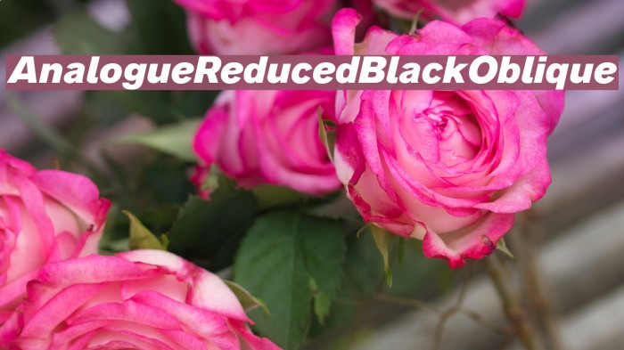 AnalogueReduced-BlackOblique Font examples