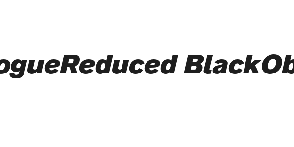 AnalogueReduced-BlackOblique Logo