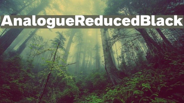 AnalogueReduced-Black Font examples