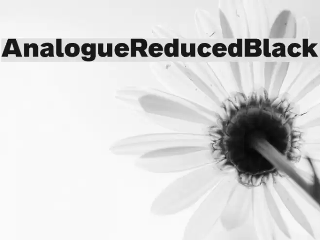 AnalogueReduced-Black Font examples