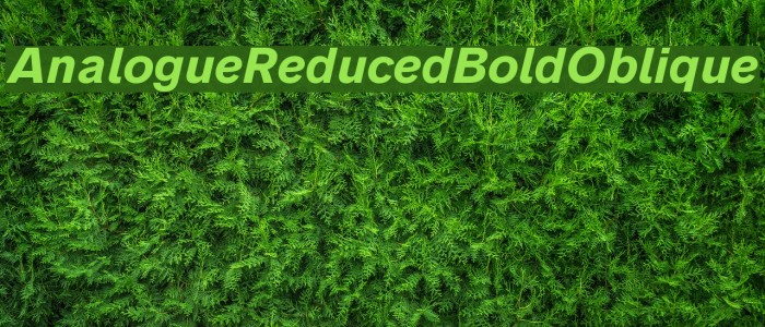 AnalogueReduced-BoldOblique Font examples