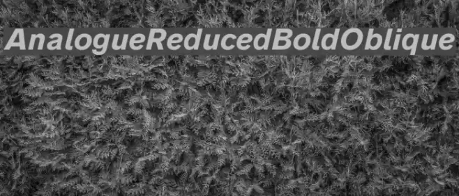 AnalogueReduced-BoldOblique Font examples