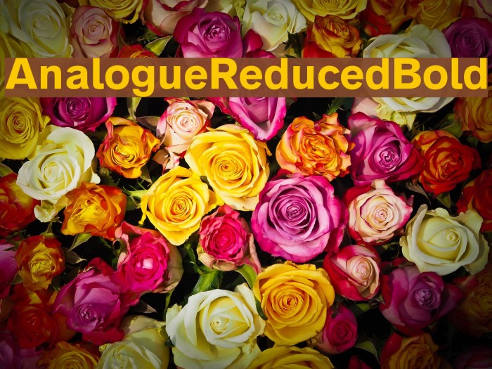 AnalogueReduced-Bold Font examples