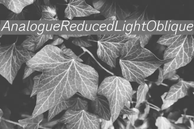 AnalogueReduced-LightOblique Font examples
