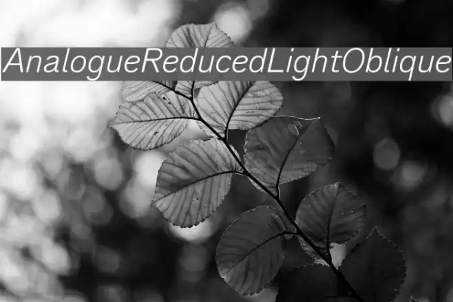 AnalogueReduced-LightOblique Font examples