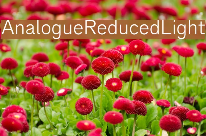 AnalogueReduced-Light Font examples