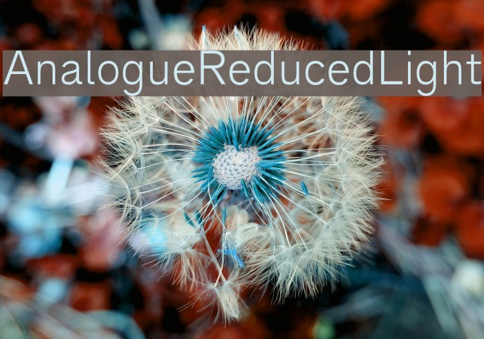 AnalogueReduced-Light Font examples