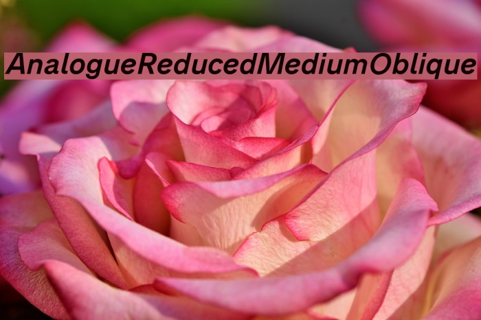 AnalogueReduced-MediumOblique Font examples