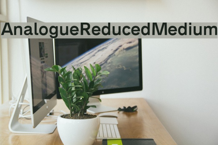 AnalogueReduced-Medium Font examples