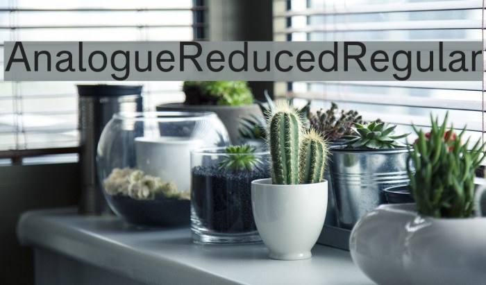 AnalogueReduced-Regular Font examples