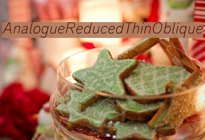 AnalogueReduced-ThinOblique Font examples