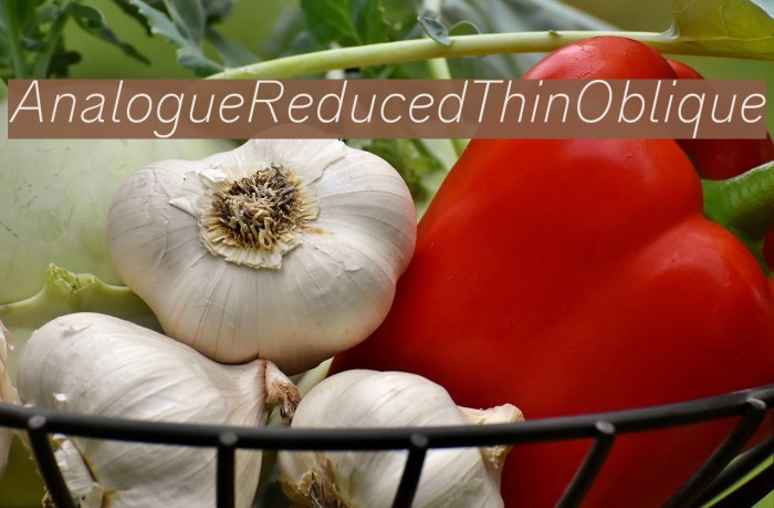 AnalogueReduced-ThinOblique Font examples
