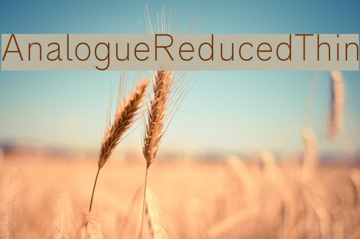 AnalogueReduced-Thin Font examples