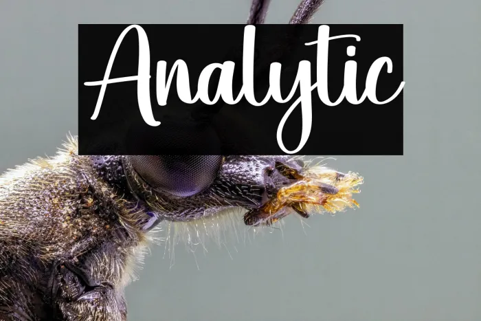 Analytic Example 1