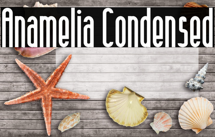 Anamelia Condensed Example 1