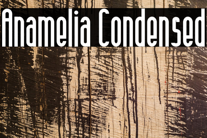 Anamelia Condensed Example 3