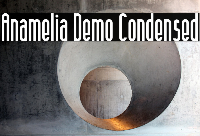 Anamelia Demo Condensed Example 1