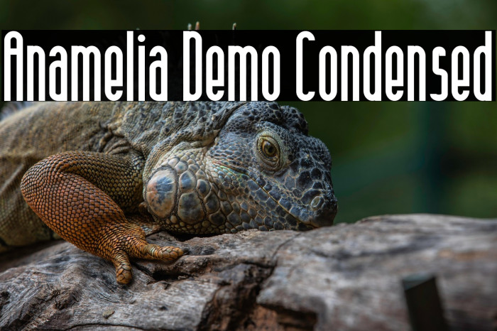 Anamelia Demo Condensed Example 2